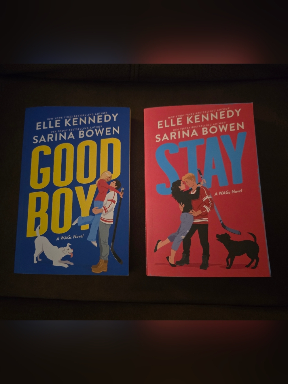 Good Boy And Stay Books